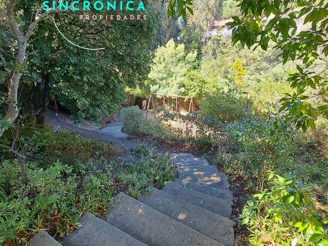 place photo 44