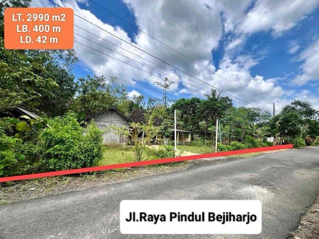 place photo 10