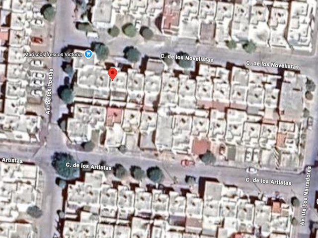 place photo 8