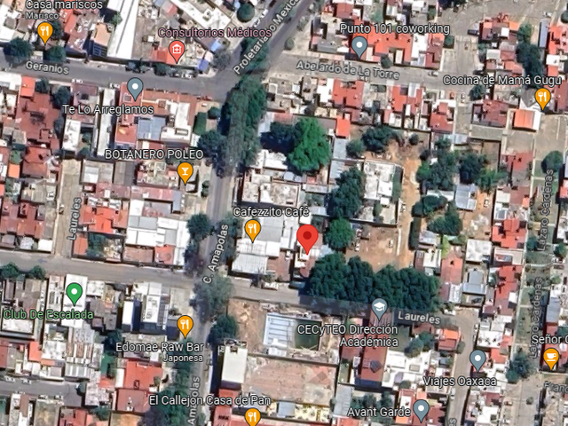 place photo 8