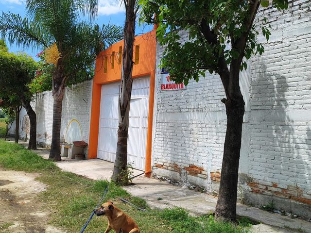 place photo 43