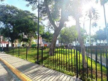 place photo 18