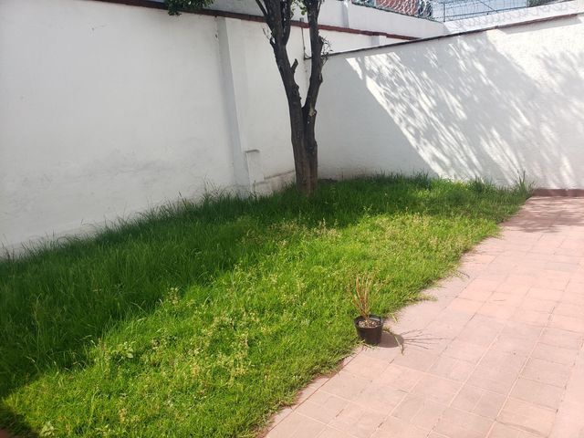 place photo 38