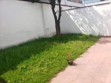place photo 38