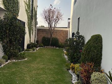 place photo 30