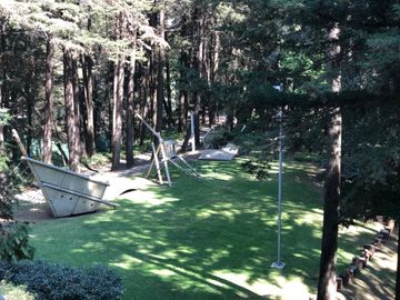 place photo 62