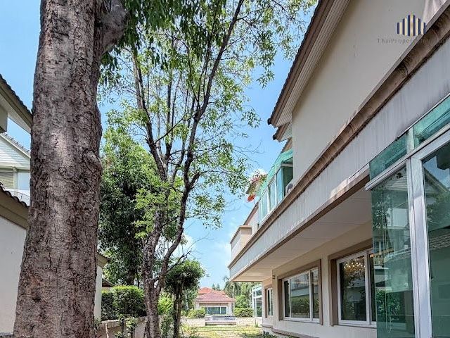 place photo 46