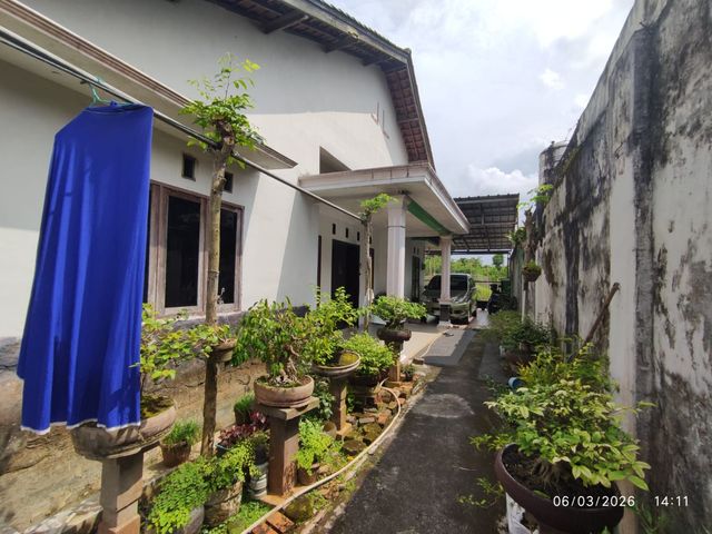 place photo 12
