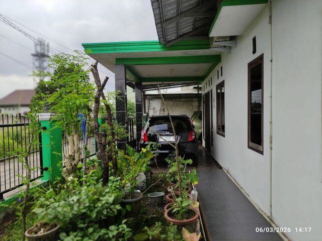 place photo 13