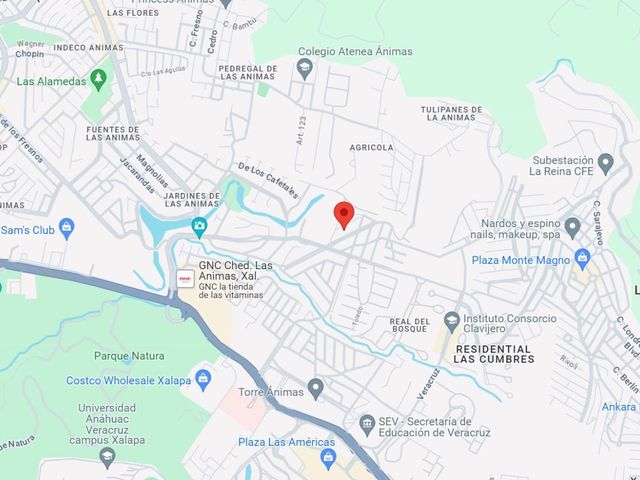place photo 9
