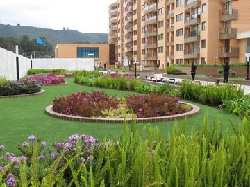 place photo 20
