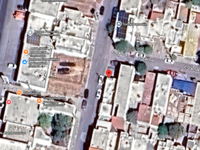 place photo 11