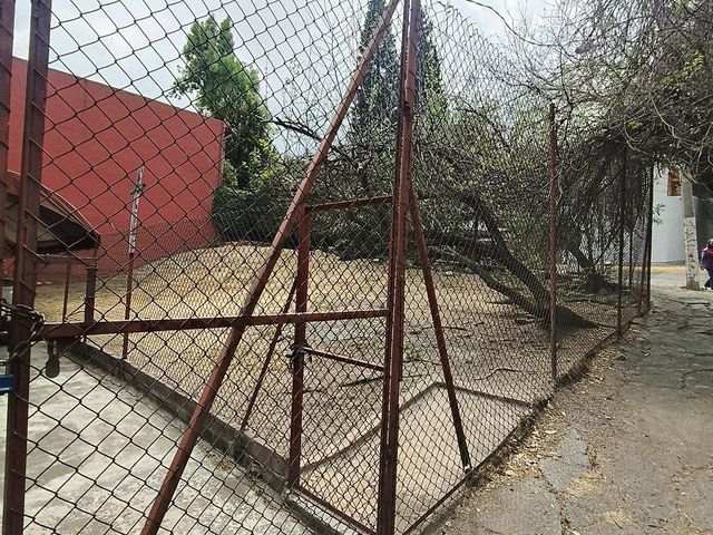 place photo 7