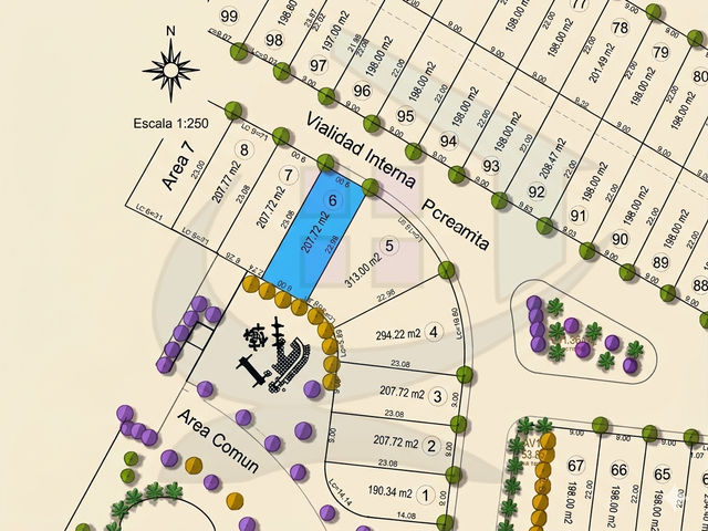 place photo 3