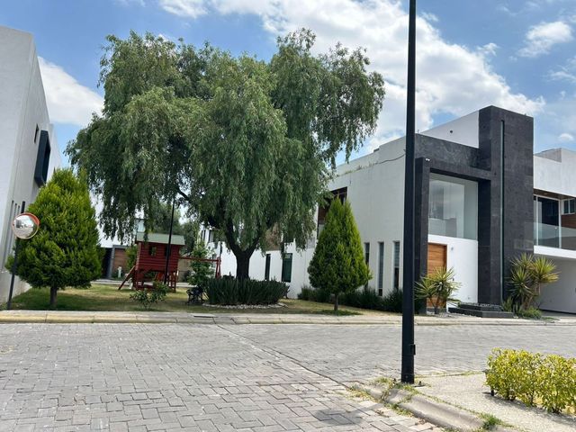 place photo 47