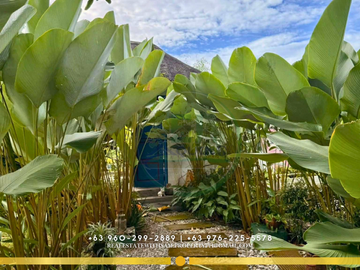 place photo 25