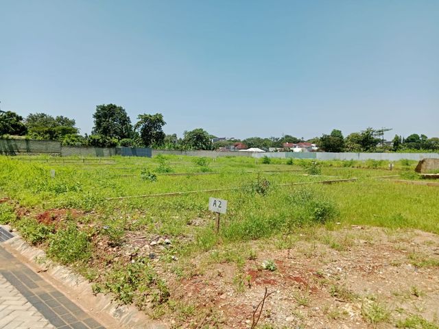place photo 18