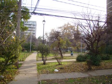 place photo 29