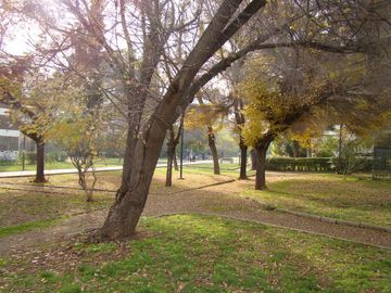 place photo 31