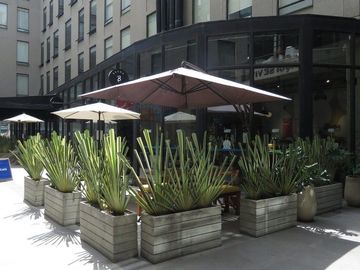 place photo 31