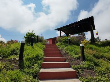 place photo 21