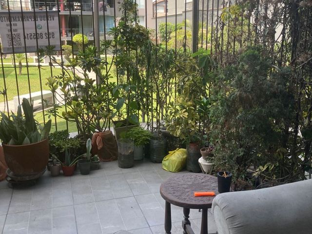 place photo 62