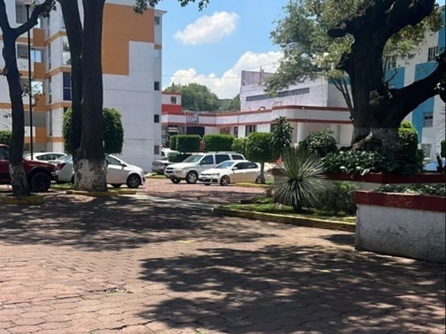 place photo 7