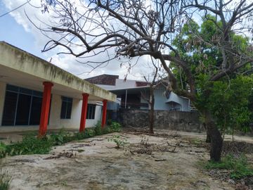 place photo 4