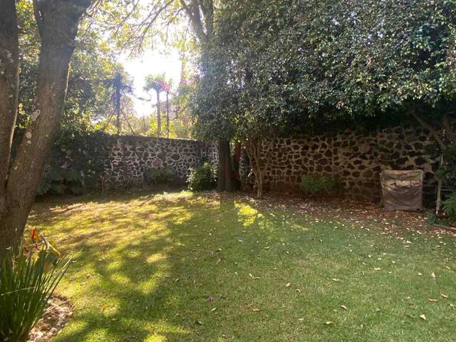 place photo 46