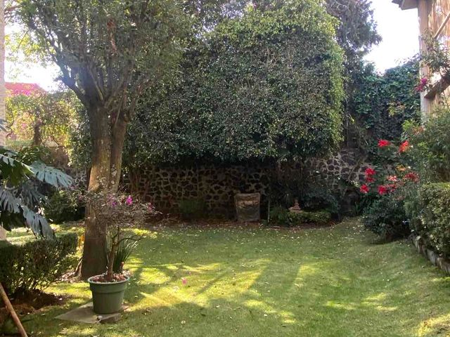 place photo 43