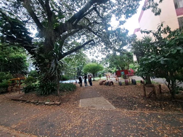 place photo 20