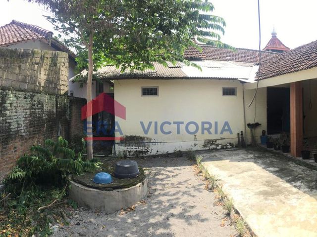 place photo 29