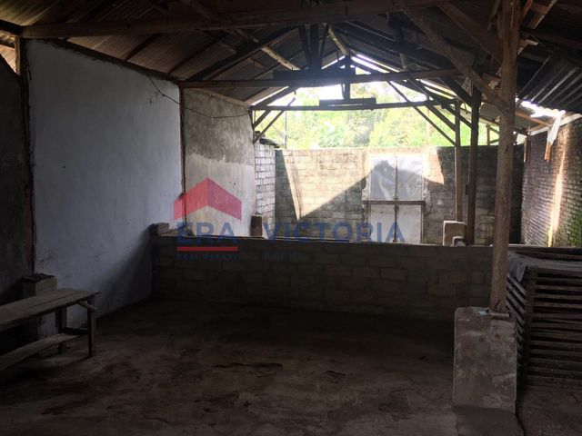 place photo 31