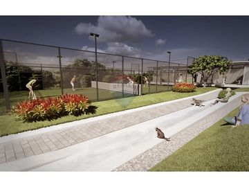 place photo 22