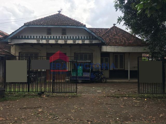 place photo 37