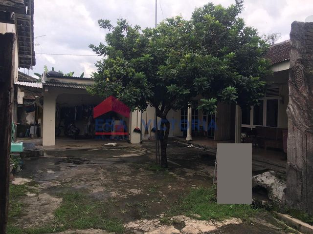 place photo 31
