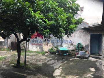 place photo 33