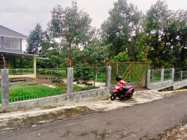 place photo 3