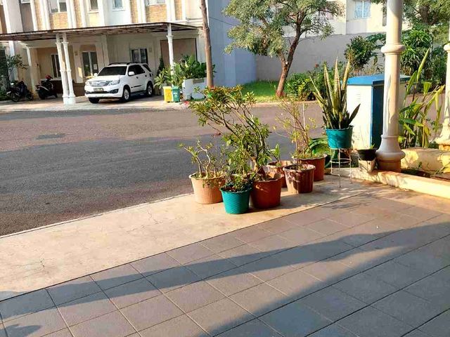 place photo 17