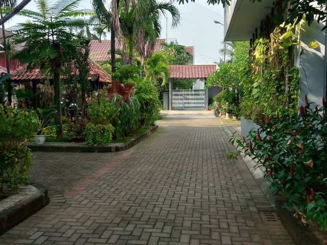place photo 19