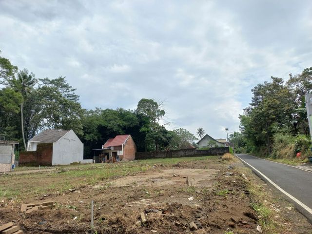 place photo 7