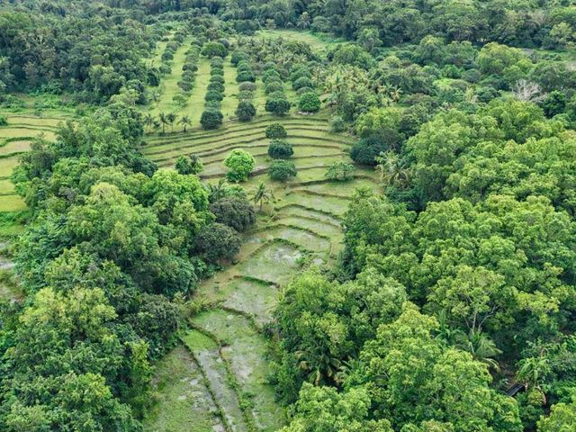 RESIDENTIAL LOT FOR SALE IN SIBUNAG GUIMARAS
