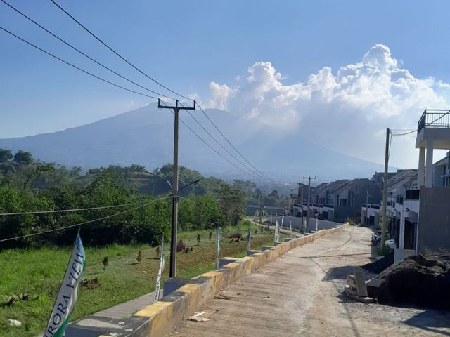 place photo 35