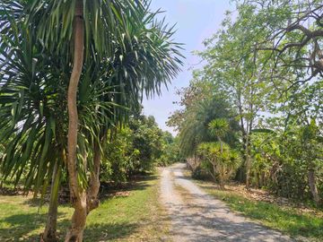 place photo 35