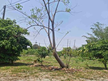 place photo 39