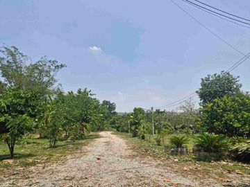 place photo 40