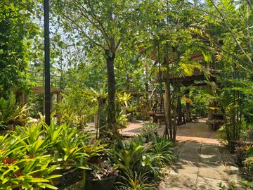 place photo 43