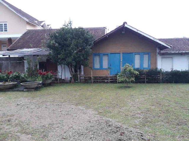 place photo 17
