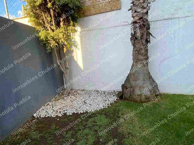 place photo 43
