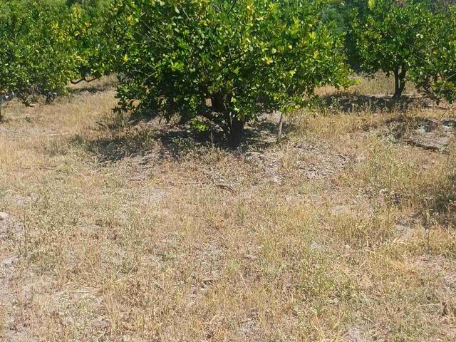 Venta O Renta De Terreno Industria